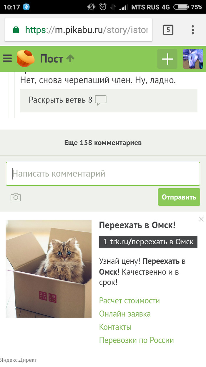 Яндекс, серьезно? - Моё, Яндекс Директ, Омск, Переезд, Кот, Не надо так