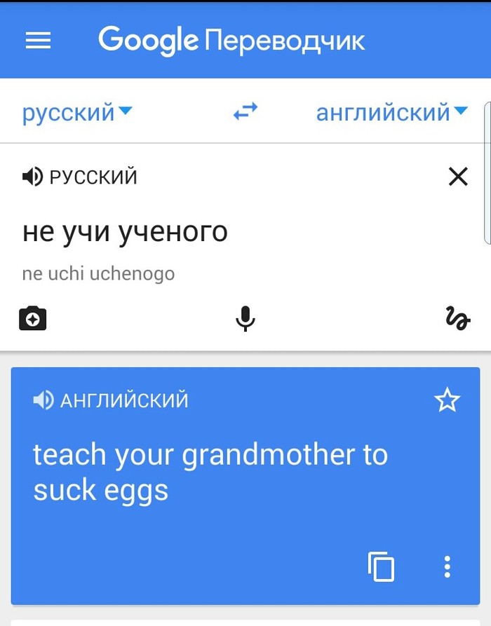 Good translation - Teach your grandmother to suck eggs, Translator