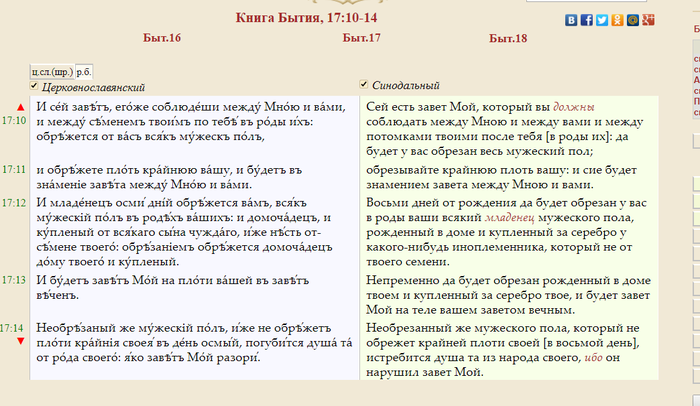 почему русским не делают обрезание. 1507390282184970579. почему русским не делают обрезание фото. почему русским не делают обрезание-1507390282184970579. картинка почему русским не делают обрезание. картинка 1507390282184970579. почему русским не делают обрезание. 1507390282184970579. почему русским не делают обрезание фото. почему русским не делают обрезание-1507390282184970579. картинка почему русским не делают обрезание. картинка 1507390282184970579.
