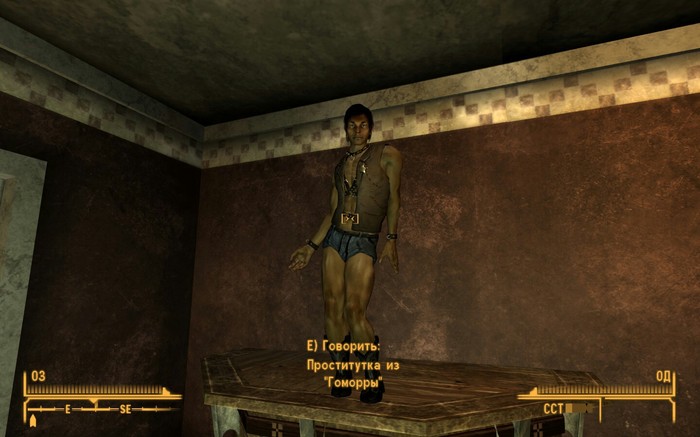 I decided to somehow play Fallout ... - Female, Men, Women, Fallout: New Vegas, My, Games