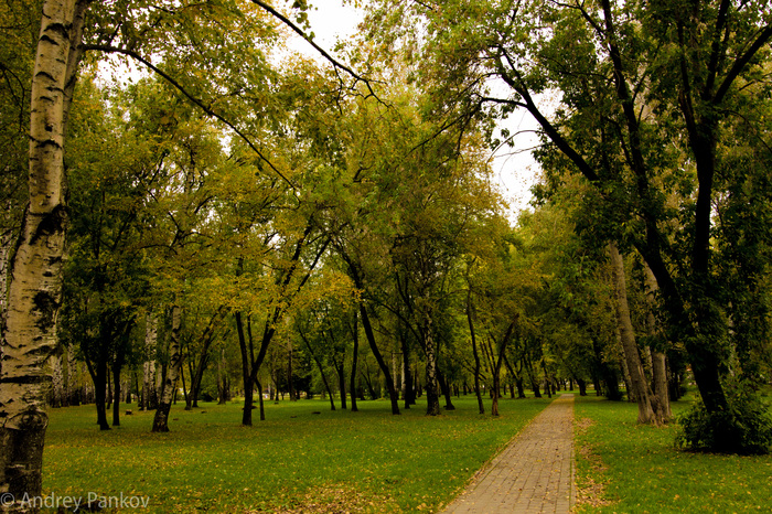 Немного осени вам в ленту - Моё, Осень, Фотография, Широкий угол, Угол