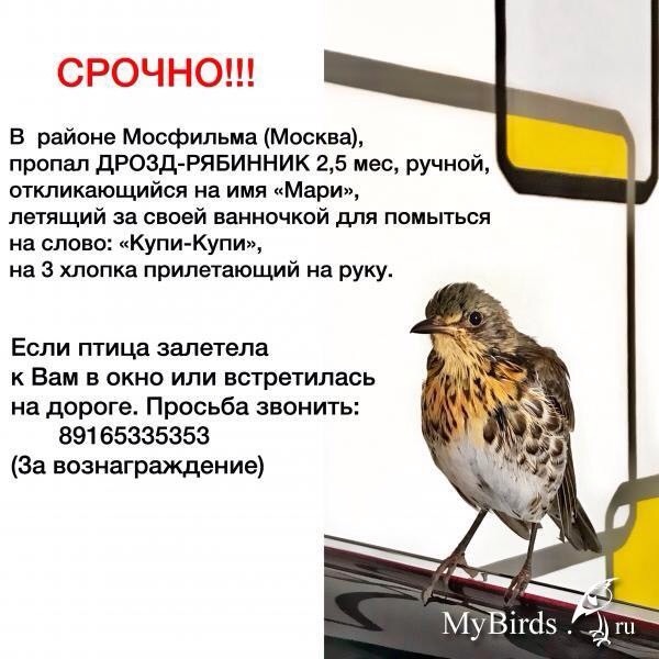  , ,  , 