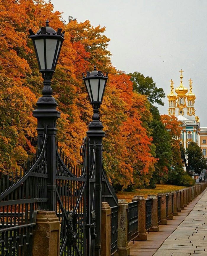 Пламенеющие кроны деревьев в Екатерининском парке. - Осень, Крона деревьев, Парк