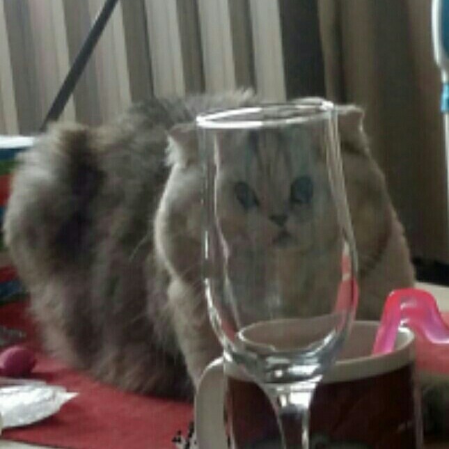  -. , , , , , 