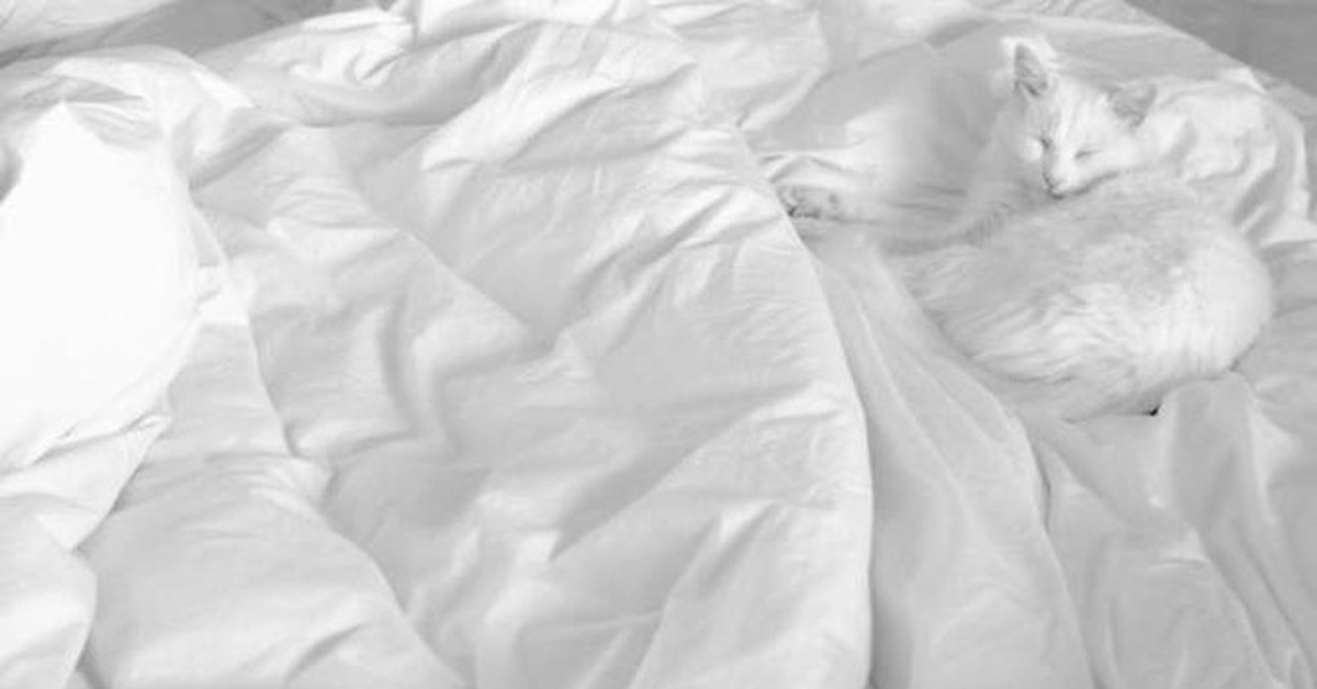 Смятая белая постель. Одеяло белое сверху. Текстура одеяла. Белая смятая постель. Одеяло белое на белом фоне.