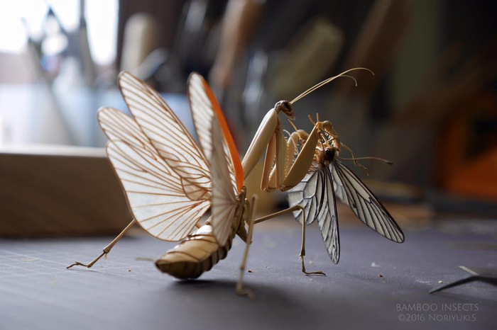 Like real ones. - Sculpture, Insects, Bamboo, Art, Art, Zanamiclub, Longpost