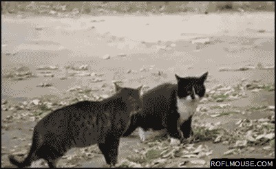 !