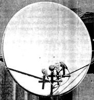 From the life of a satellite dish installer. - Funny stories, Strange people, My, Satellite TV