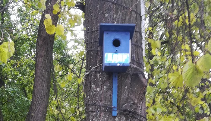 For politically defined birds - Yaroslavl, Liberal Democratic Party, Birdhouse