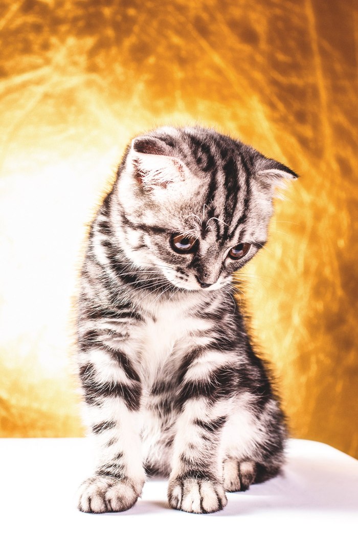 Моя первая работа