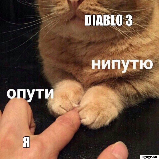 Уже давно пора спать, но... - Моё, Diablo III, Diablo 3 RoS, Сон для слабаков, Кот, Нипутю, Мемы