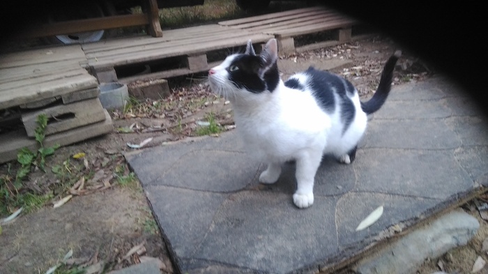 ��������� ������ � � ����� �� �������� �� ������ �����