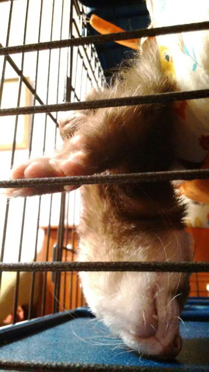 ����� �����