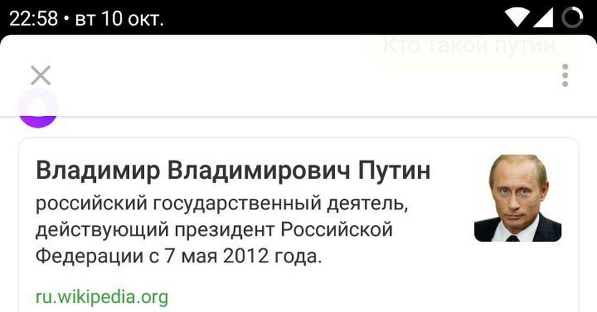Путин Голосовое Сообщение Прикол