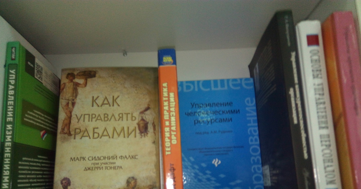 Как управлять рабами книга читать. Как управлять рабами книга. Как управлять рабами фото. Как управлять рабами книга обложка. Как управлять рабами книга купить.