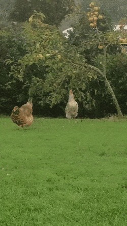 , !