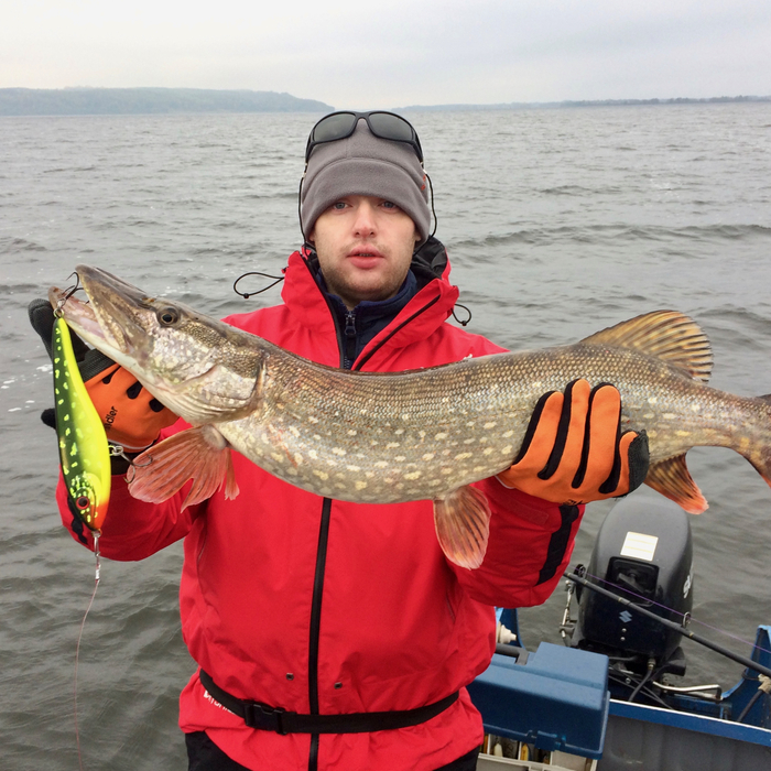 Catches of the Monster Pike Fest 2016. Part 2. - Fishing, The festival, Jerkbaits, Bait, , Trophy, Pike, Longpost