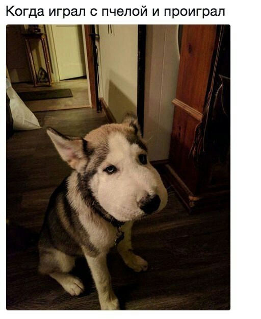 ��������...