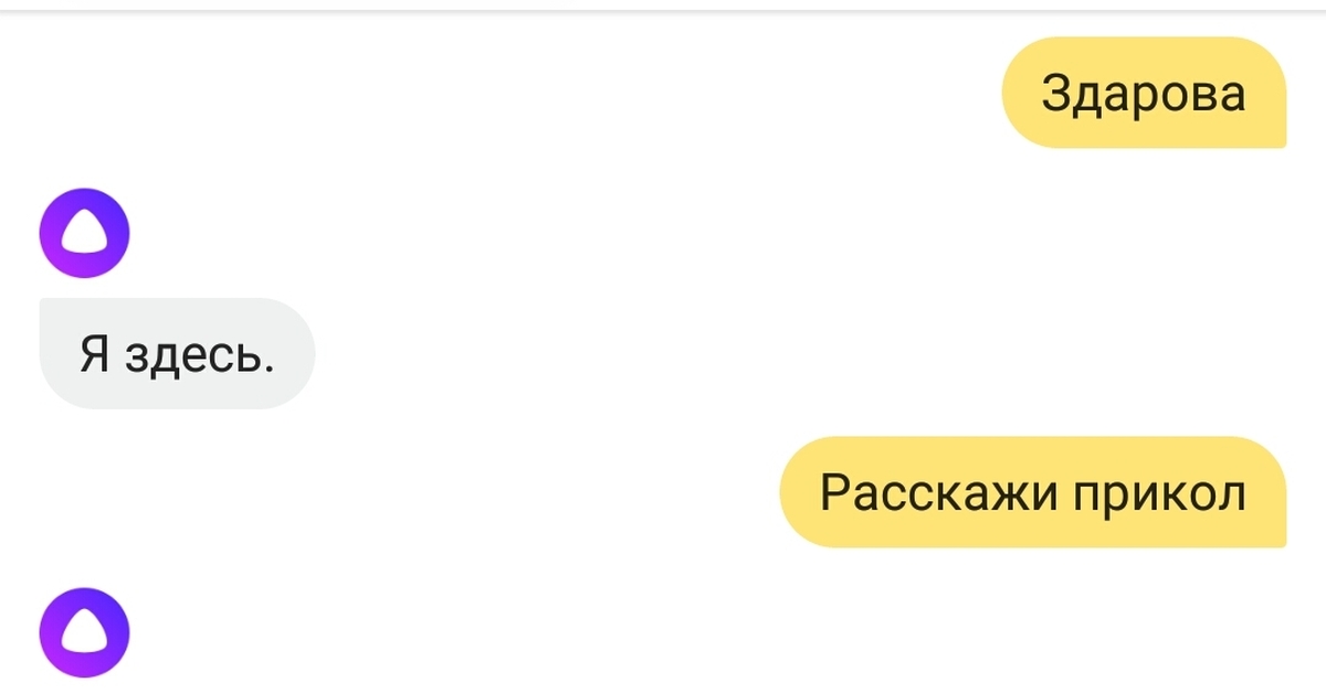 Расскажи здесь. Алиса ты бот. Алиса ты бот или человек. Яндекс Алиса ты бот. Алиса убийца бот.