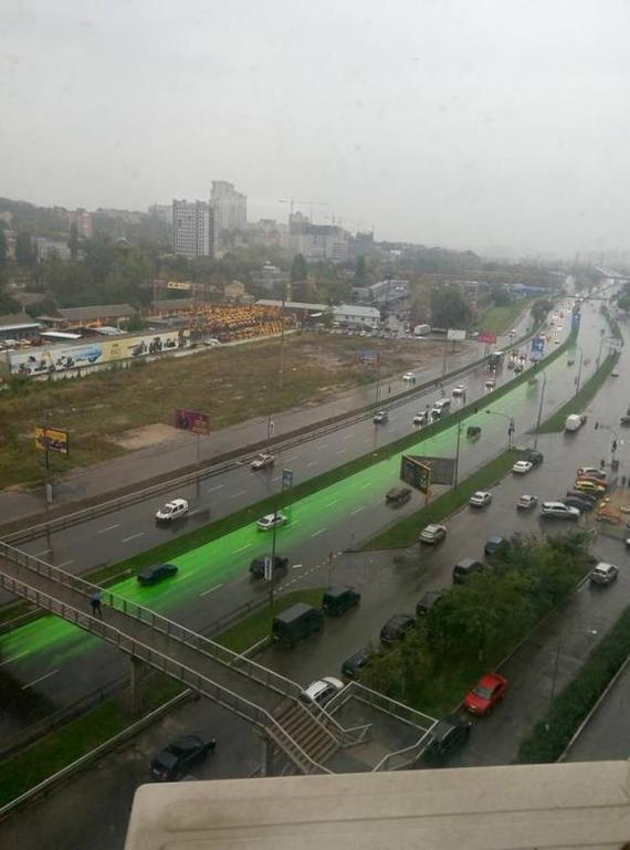 Когда ты себе немного не так представлял озеленение города - Киев, Зелень, Дождь, Дорога