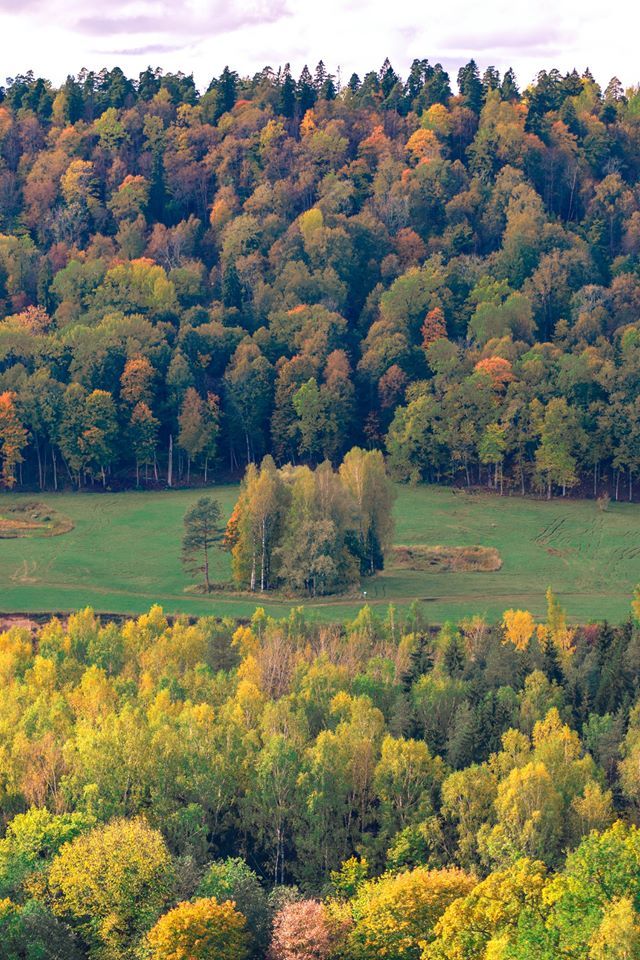 Autumn in the Baltic States - Sigulda - My, Sigulda, Latvia, Autumn, , Longpost