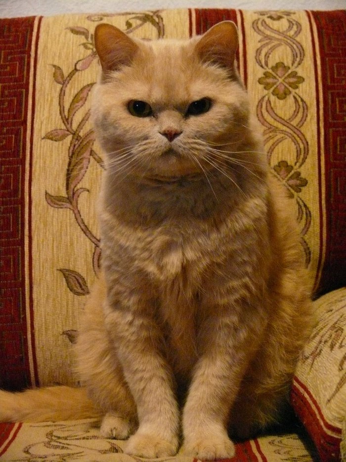 Ищу девушку в Екатеринбурге