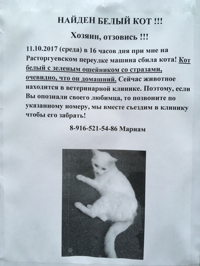 Owner, call back! - Found a cat, Lost, cat, Help, Wanted, Moscow, Search