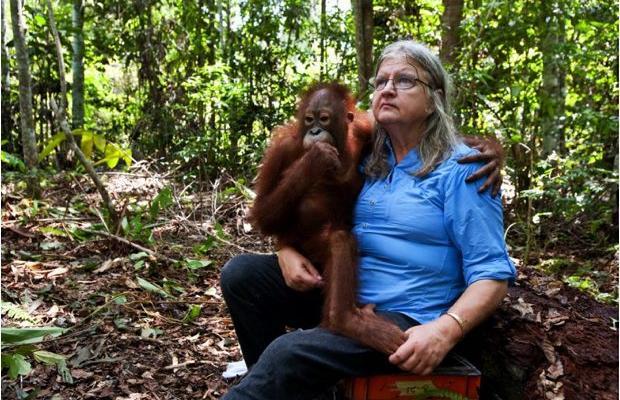 Birute - peacemaker - Anthropogenesis, , Primates, Biography, The science, Longpost