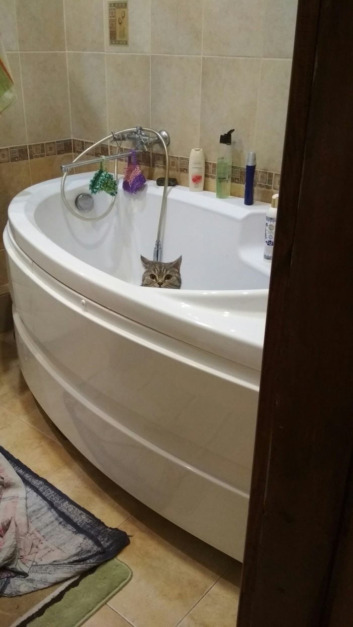 , ! , , , , 