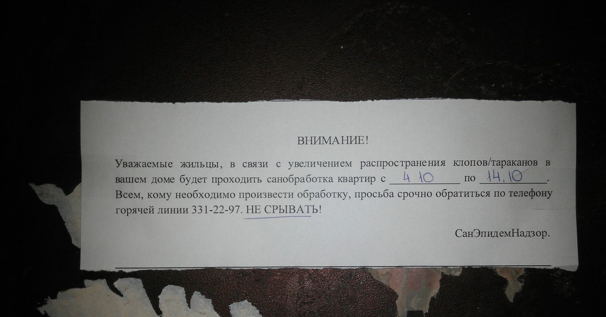 Соседская коллективная. Жалоба в управляющую компанию на тараканов. Образец заявление на соседей с тараканами. Заявление на соседей на тараканов. Заявление тараканы.