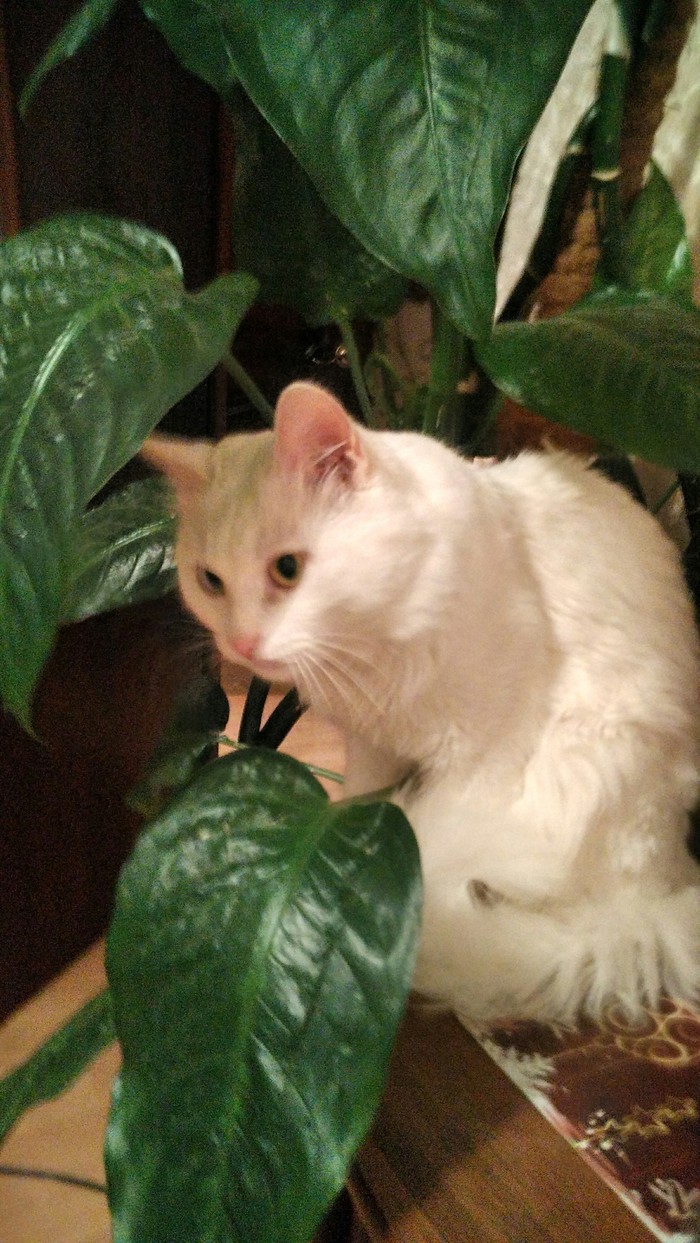 Скучает по лету!!!!