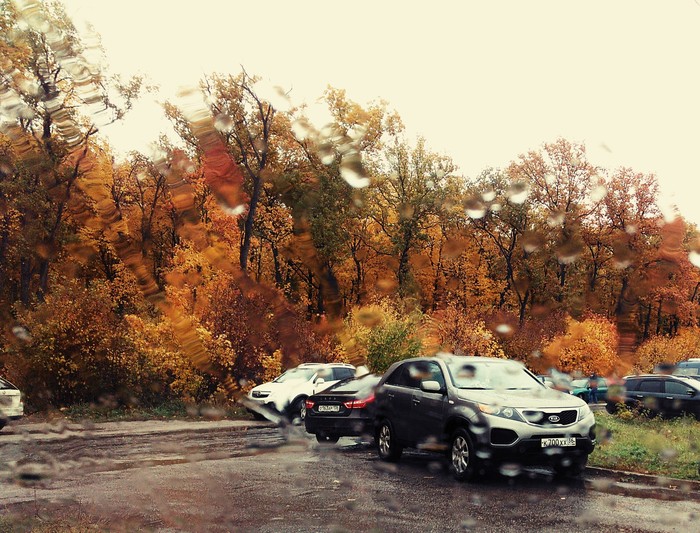 Autumn colors - incredible beauty! - My, Autumn, Autumn mood, Walk, Rain, The photo, Filter, Longpost