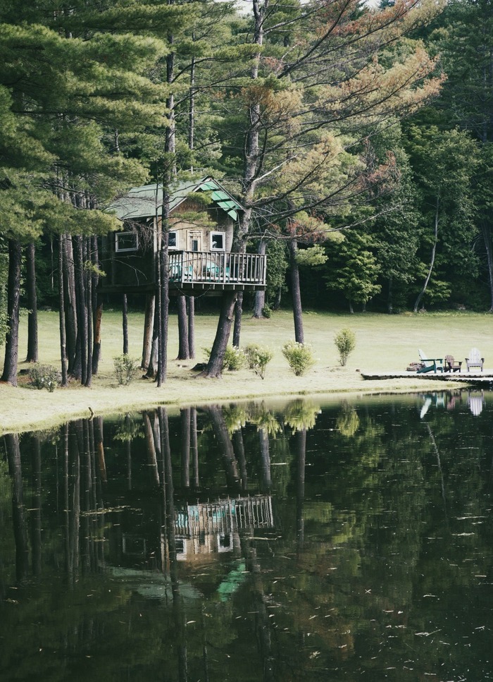 Tree house - House, Tree, Shore, beauty