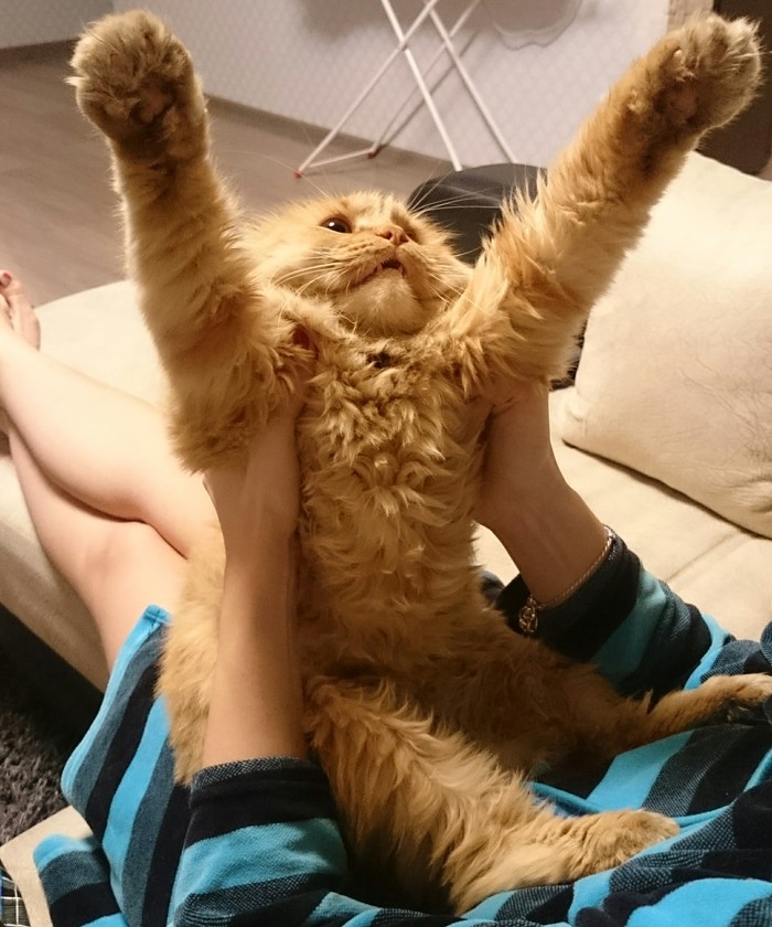 Стартап, идея, кидалово