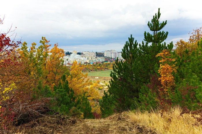 Road to the city - My, The photo, Cityscapes, Landscape, Town, Forest, Canon, Street photography