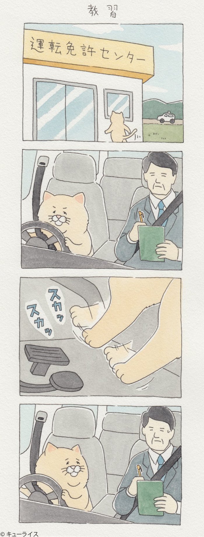 Driving school - Comics, cat, Driving, Fail, Longpost