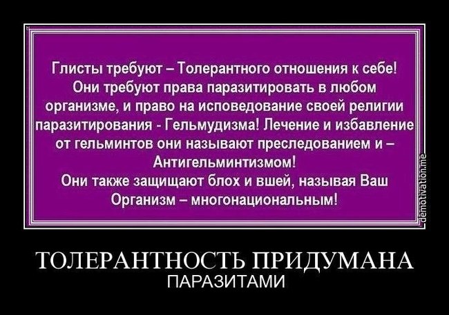 Главная заповедь толерантности - Общество, Идеология, Культура, Толерантность, Длиннопост