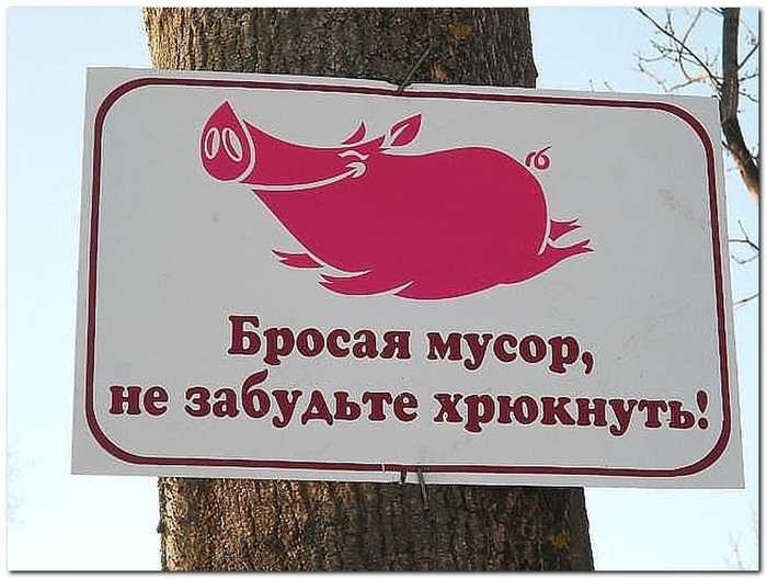 About garbage cans - My, Garbage, Krasnodar, Pig, Order, Idiocy, Fools, Strange people, , Longpost