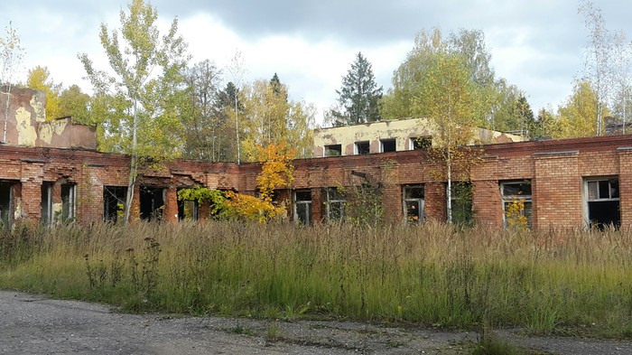 Abandoned: d / o Tuchkovo 7. - My, Abandoned, House, The photo, Longpost, Hello reading tags, Devastation, Autumn