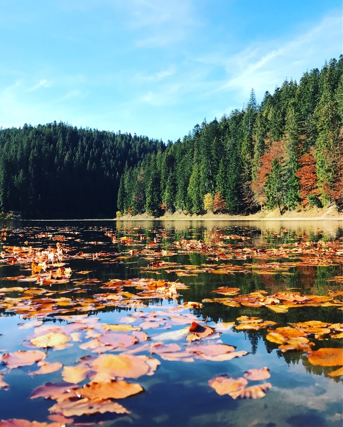 Lake Synevyr, Transcarpathian region - My, Synevyr, Transcarpathia