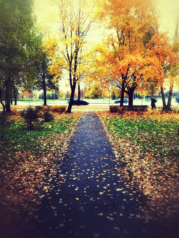 Autumn atmosphere - My, Autumn, The photo, , Nature, Mood, Longpost, Treatment