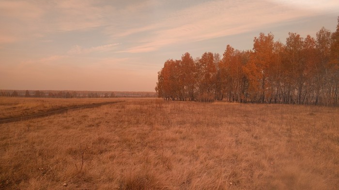 Осень - Моё, Осень, Фотография, Настроение осень, Длиннопост