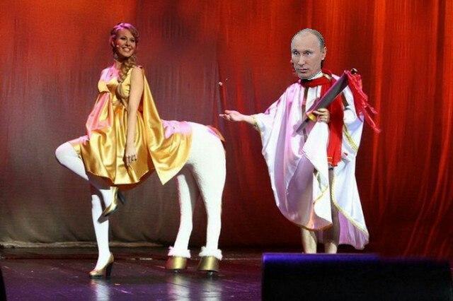 Go horse! - Vladimir Putin, Sobchak, Politics, Knight's move, Elections