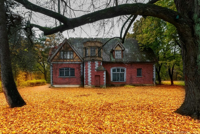 Royal Autumn in Tsarskoye Selo - Royal, Autumn, House