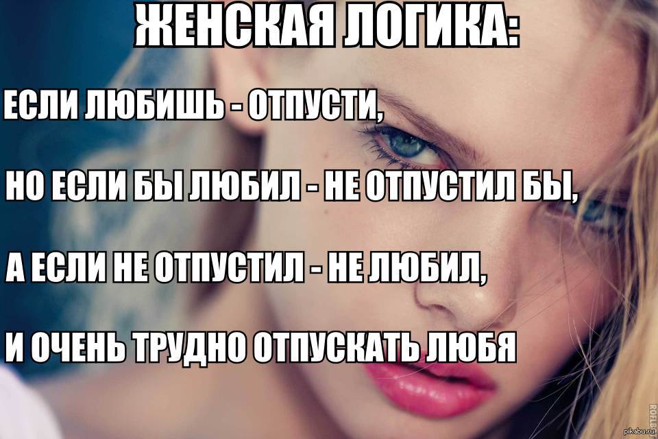 Книга Женская Логика С Пустыми Страницами Купить