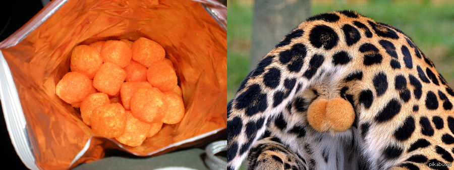 Cheetos -&gt; Cheetah - Гепард. 