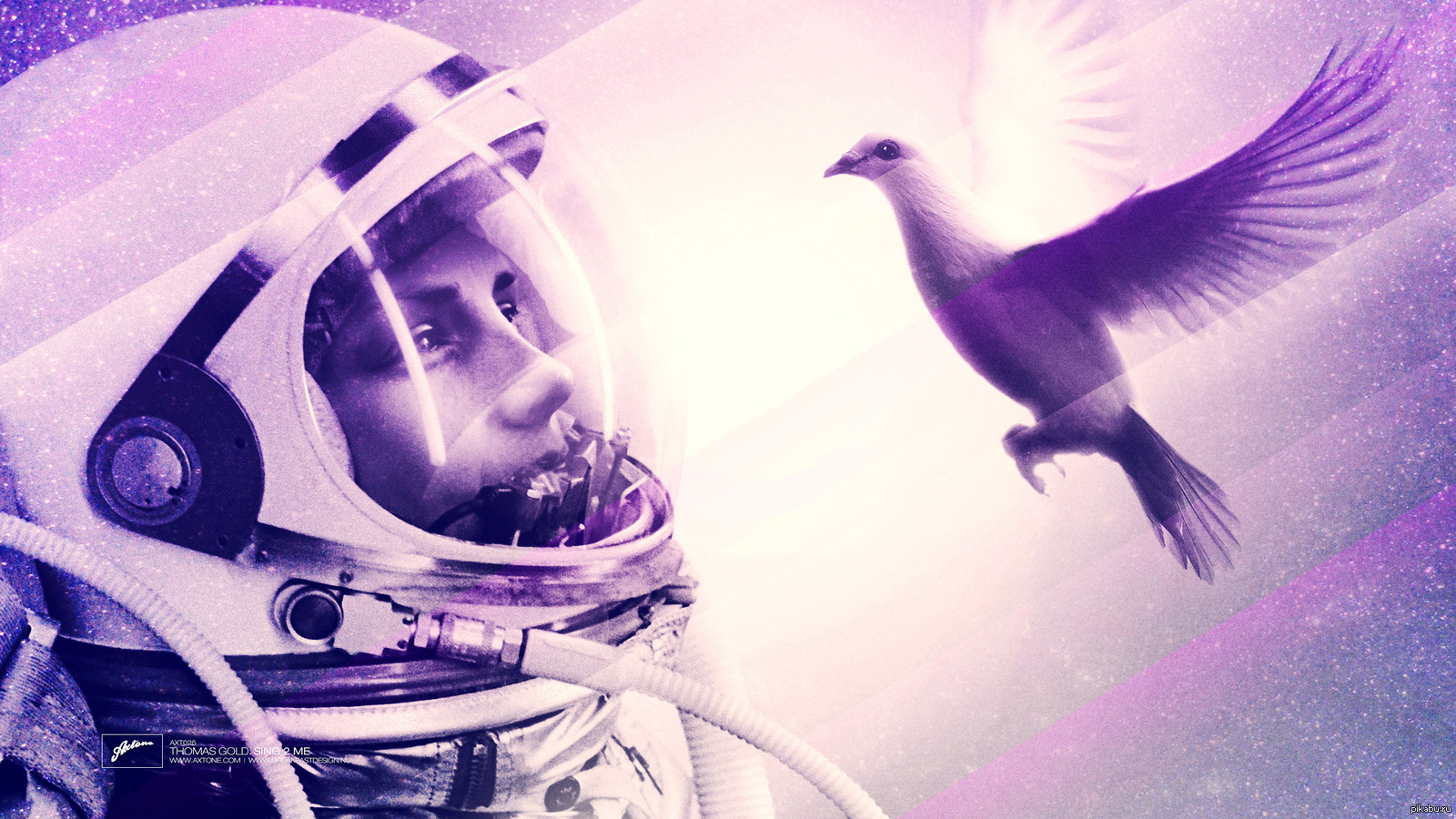 Птицы в космосе