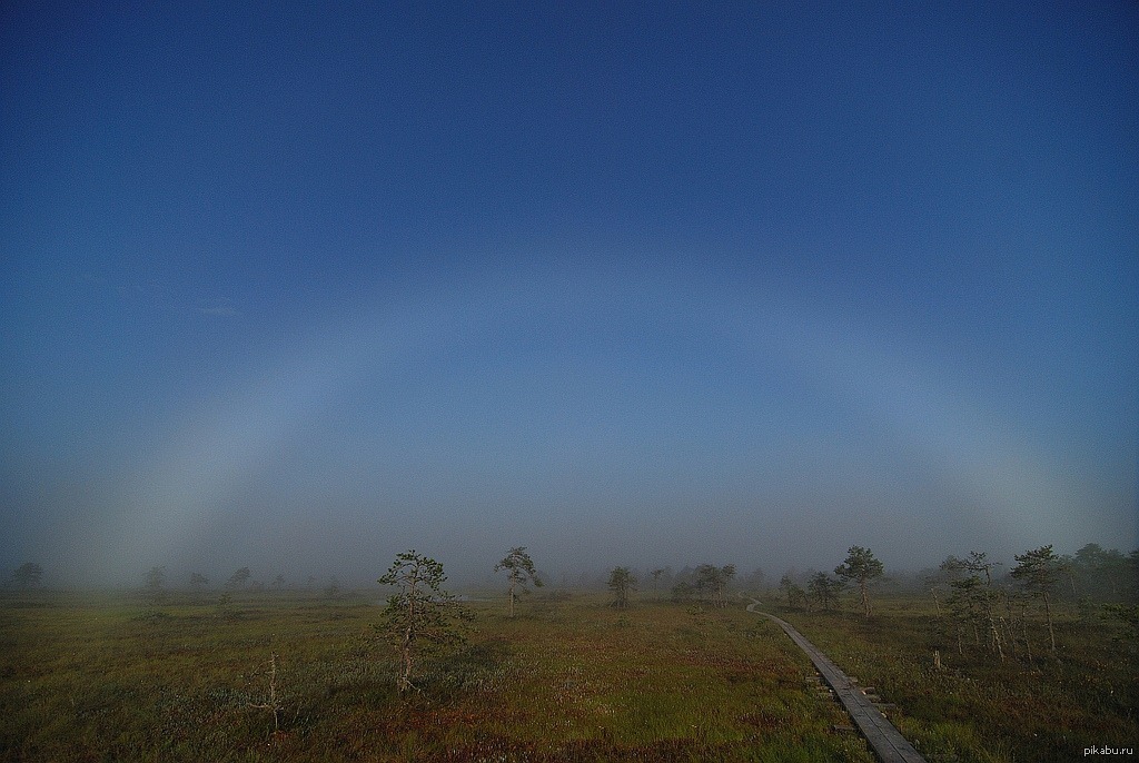 White rainbow. Туманная Радуга природное явление. Туманная (белая) Радуга. Белая Радуга явление. Радуга из тумана.