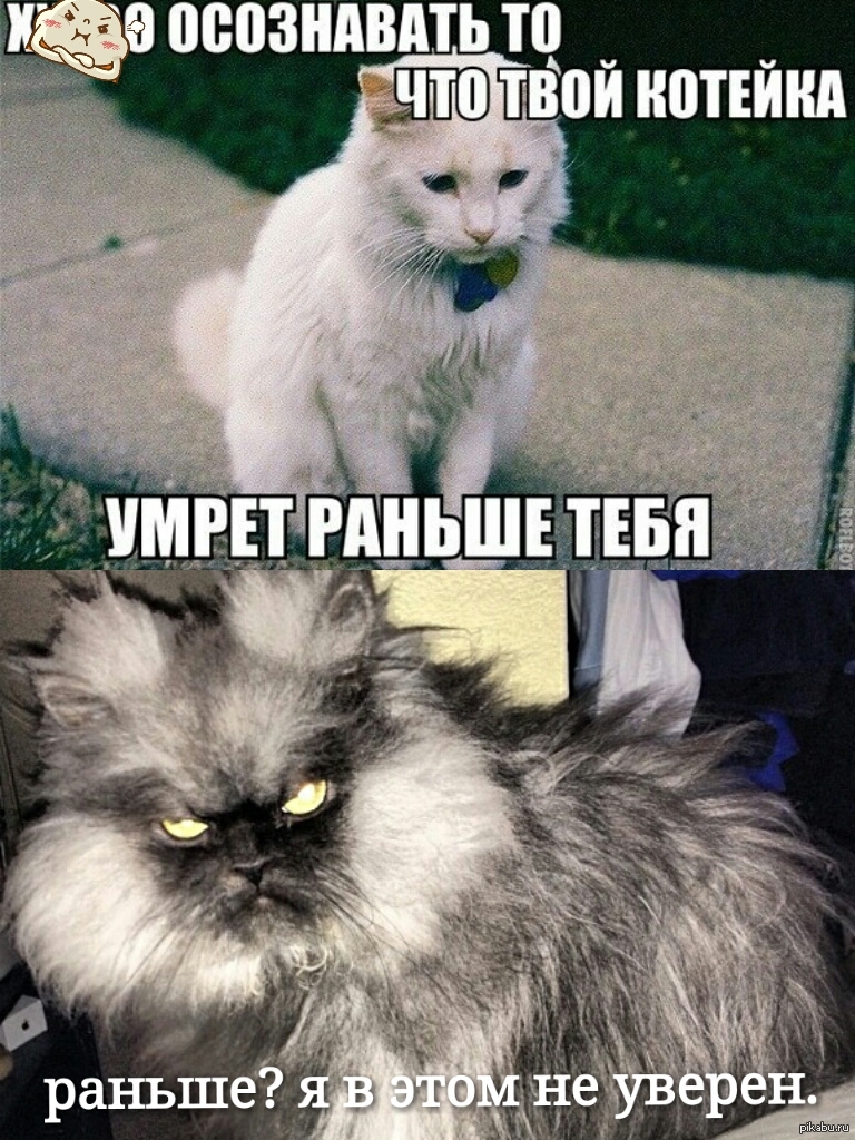 Но.... | Пикабу