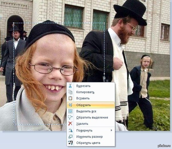 Скопируй ставь ставь. Прикольные фото евреев. Шутки про копирование. Мемы про копирование.